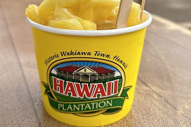 Turtle Snorkeling and Dole Plantation Guided Tour In Oahu - Dole Plantation Train Ride Tour Through Pineapple Country