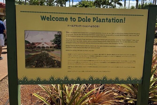 Turtle Snorkeling and Dole Plantation Guided Tour In Oahu - Group Size, Guide Style, and the Pace of the Whole Day