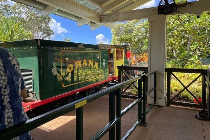 Turtle Snorkeling and Dole Plantation Guided Tour In Oahu - Practical Tips for a Smoother Snorkel Day (and a Less Stressy Morning)