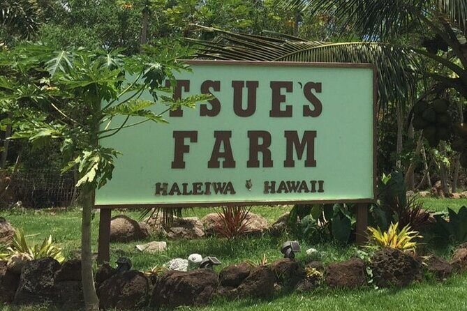 Ultimate North Shore Adventure: Full-Day Hawaiian Experience - Pickup, timing, and group size: what 7:20am means