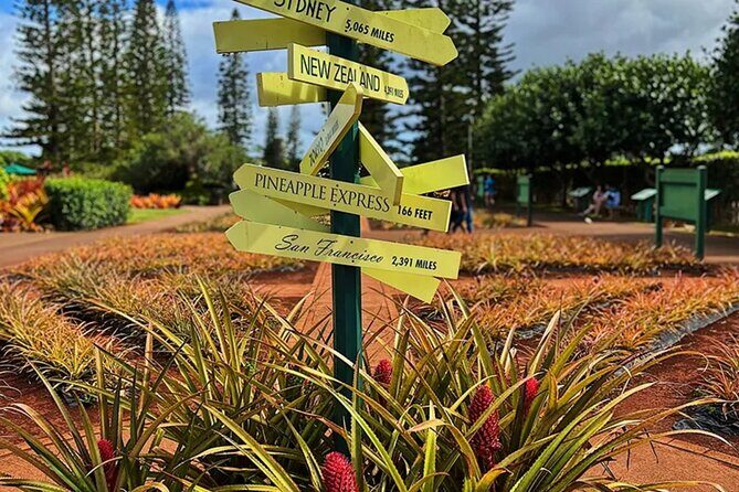 Ultimate North Shore Adventure: Full-Day Hawaiian Experience - Stop 4: Waimea Valley falls and the hike choice