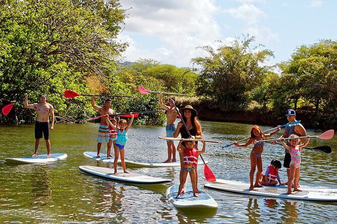 Ultimate North Shore Adventure: Full-Day Hawaiian Experience - Stop 6: Dole Plantation for pineapple history plus treats