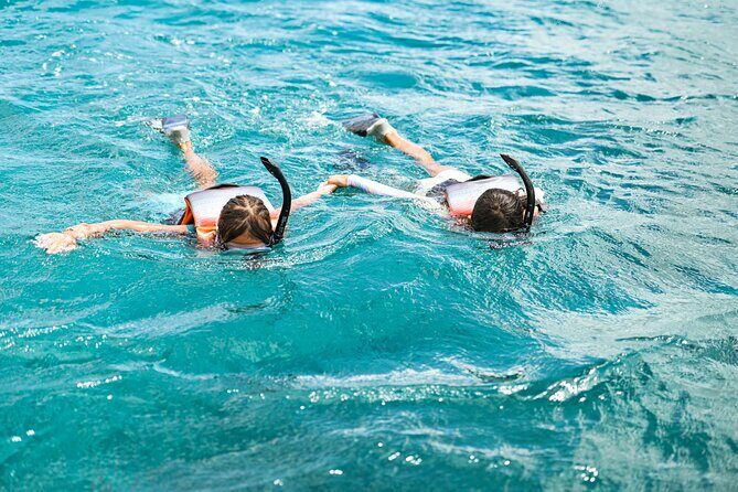 Venture Wildlife Snorkel Charter from Ko Olina - Hydrophone time: listen to humpback whale sounds