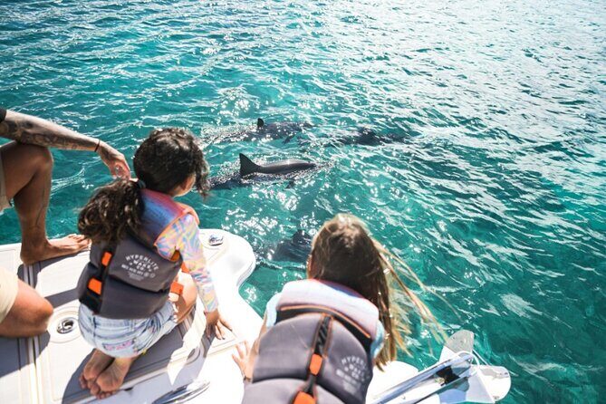 Venture Wildlife Snorkel Charter from Ko Olina - Snacks, coconut water, and the small comforts that help