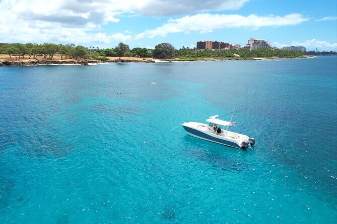 Venture Wildlife Snorkel Charter from Ko Olina - Who should book this charter (and who should reconsider)