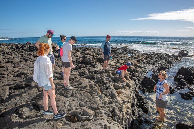 VIP Aloha Style Private Island Tour - Dole Plantation and Diamond Head: the easy first wins