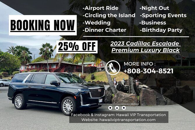VIP Luxury Transfers: Honolulu Airport ↔ Waikiki ↔ Cruise Port - Wi‑Fi and rear TVs: not just nice extras