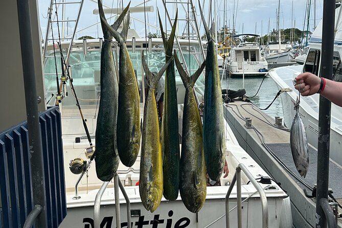 Waikiki Deep Sea Fishing Charter from Oahu - Diamond Head, Waikiki, and the South/West Oahu views from the water