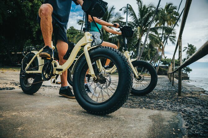 Waikiki Electric Bike Self Guided Tour- Manoa Falls Bike and Hike - Stop 1: University of Hawaii at Manoa Campus—A Natural Reset