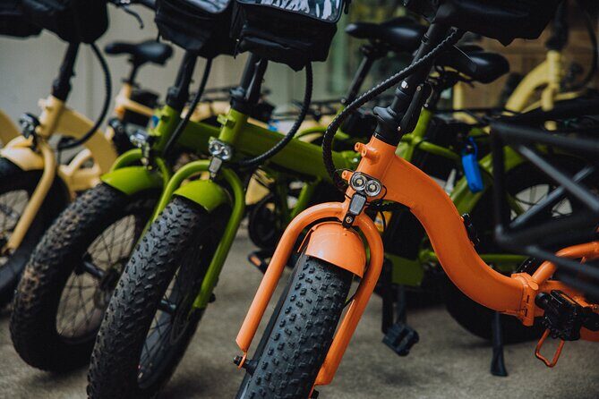Waikiki Electric Bike Self Guided Tour- Manoa Falls Bike and Hike - Stop 2: Manoa Falls Trail Head—Where the Day Turns From Riding to Hiking