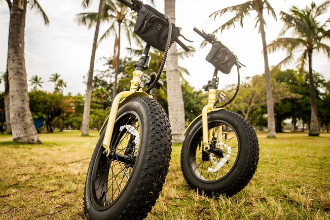 Waikiki Electric Bike Tour Self Guided: Diamond Head Bike & Hike - Pricing and value: is $72.99 a fair deal?
