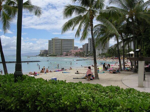 Waikiki Glass Bottom Boat Cruise - Plan for flexible wildlife, not guaranteed whales