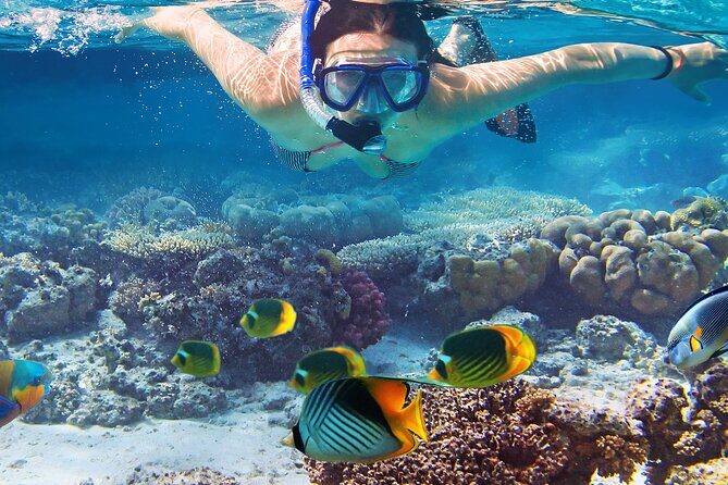 Waikiki Sail and Snorkel Adventure Best of Hawaii 2023 - Where You Meet: Ala Moana Pier A, Slip A-18/A-20
