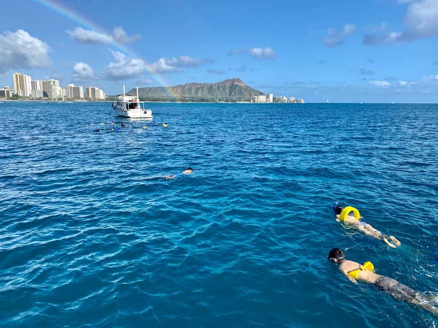 Waikiki: Sea Turtle Snorkeling, Small Group Boat Tour - Tips that help you have a smooth, low-stress trip