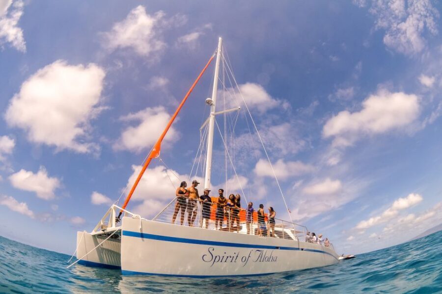 Waikiki Sunset Cocktail Cruise with Drinks and Appetizers - The Light Bento-Style Dinner: What You’ll Actually Eat