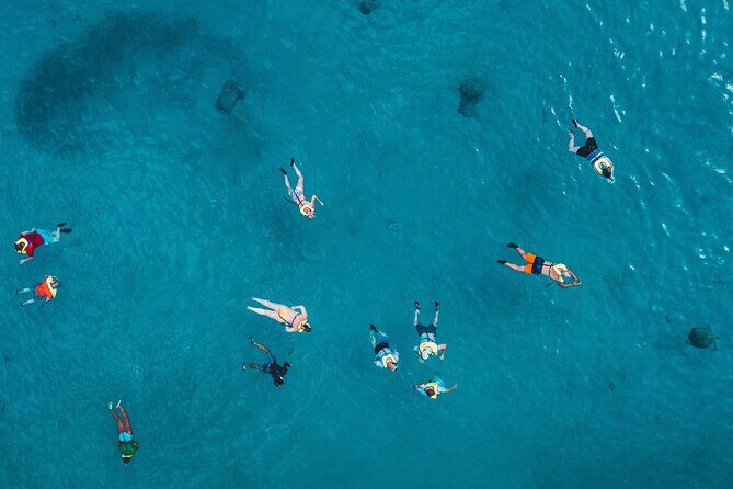 Waikiki: Turtle Canyon Snorkel - What you’ll pay and why it can be good value