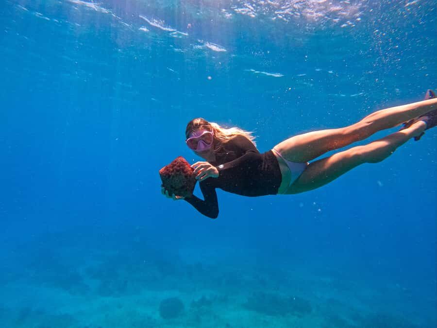 Waikiki: Turtle Canyon Snorkel Tour with Small Group - Key things I’d zero in on