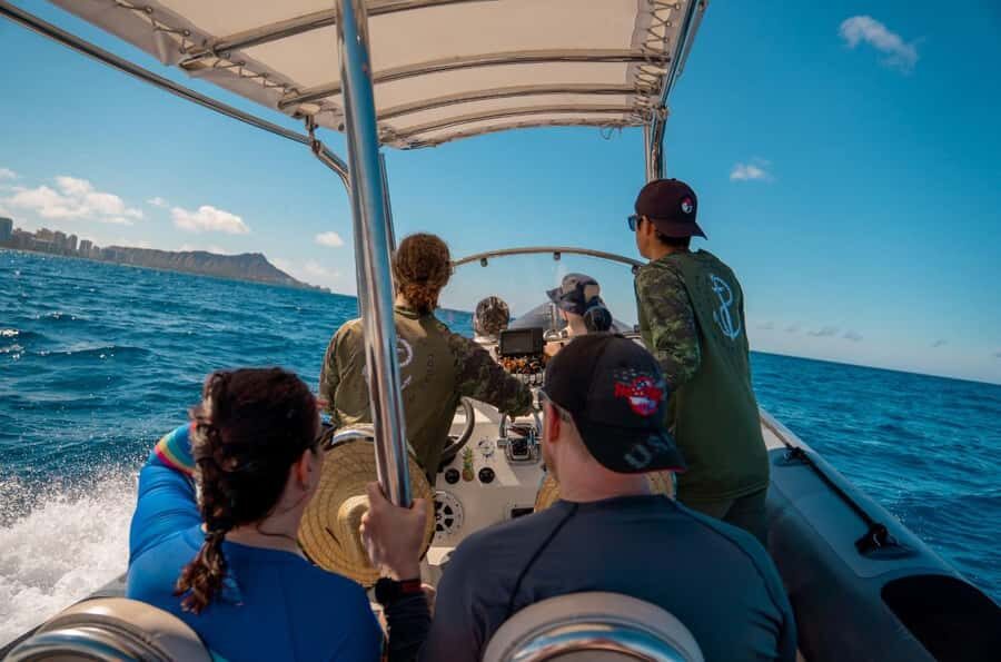 Waikiki: Turtle Canyon Snorkel Tour with Small Group - Who this Waikiki Turtle Canyon tour is best for