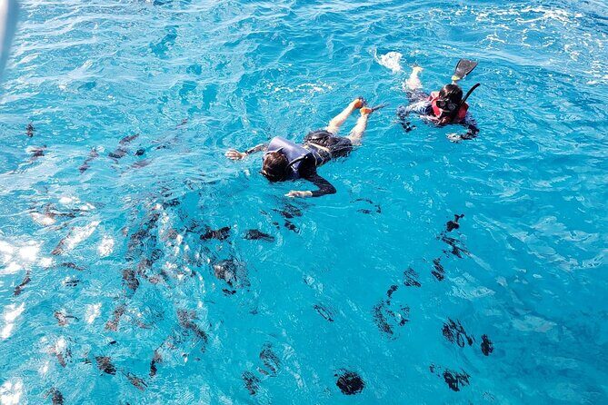 Waikiki Turtle Canyon Snorkeling Adventure - Turtle Canyon on Oceanstar: what the 3 hours actually feel like