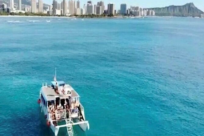 Waikiki Turtle Canyon Snorkeling Adventure - Crew support in English and Korean: why it helps more than you think