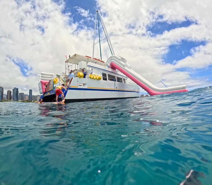 Waikiki Turtle Snorkel Adventure - Marine life viewing: what you’re aiming for, and what to watch