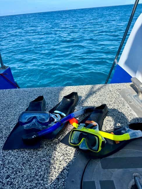 Waikiki Turtle Snorkel Adventure - Price and value: what $59 buys on a 2-hour catamaran outing