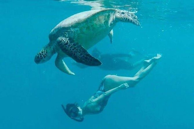 Waikiki Turtle Snorkel and Sail on Hawea Catamaran - Turtle Canyon Snorkeling From a Catamaran: Why It Works