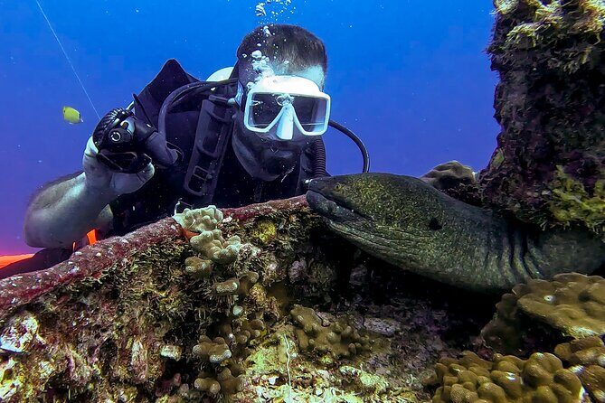 Waikiki Two Tank Guided Scuba Diving Adventure: Certified Diver - What’s Included vs. What Costs Extra