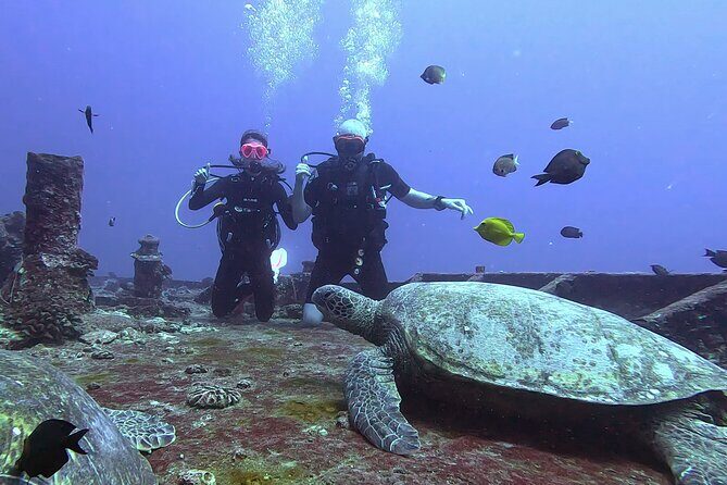 Waikiki Two Tank Guided Scuba Diving Adventure: Certified Diver - Meeting Point Reality: Easy Access, Clear Start
