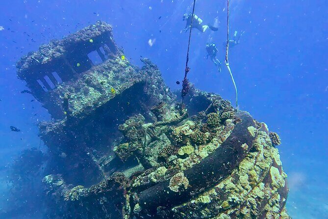 Waikiki Two Tank Guided Scuba Diving Adventure: Certified Diver - Gear Fitting and the Info You Must Send