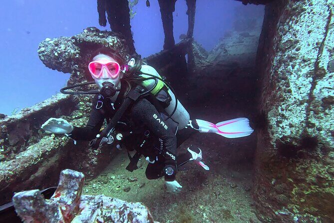 Waikiki Two Tank Guided Scuba Diving Adventure: Certified Diver - Who This Scuba Session Is Perfect For