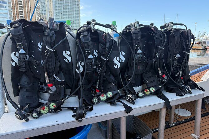 Waikiki Two Tank Guided Scuba Diving Adventure: Certified Diver - The Underwater Plan: Reefs, Shipwrecks, and Marine Life