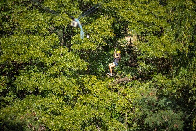 Zip & Dip: Zipline and Wet 'n' Wild Waterpark Combo - Transportation From Waikiki: Less Hassle, More Sun